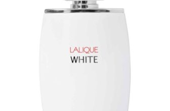 Avec ce code promo : 30% de rabais