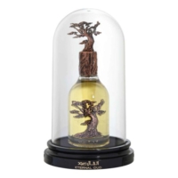 Lattafa Eternal Oud unisexe Eau de Parfum 100 ml